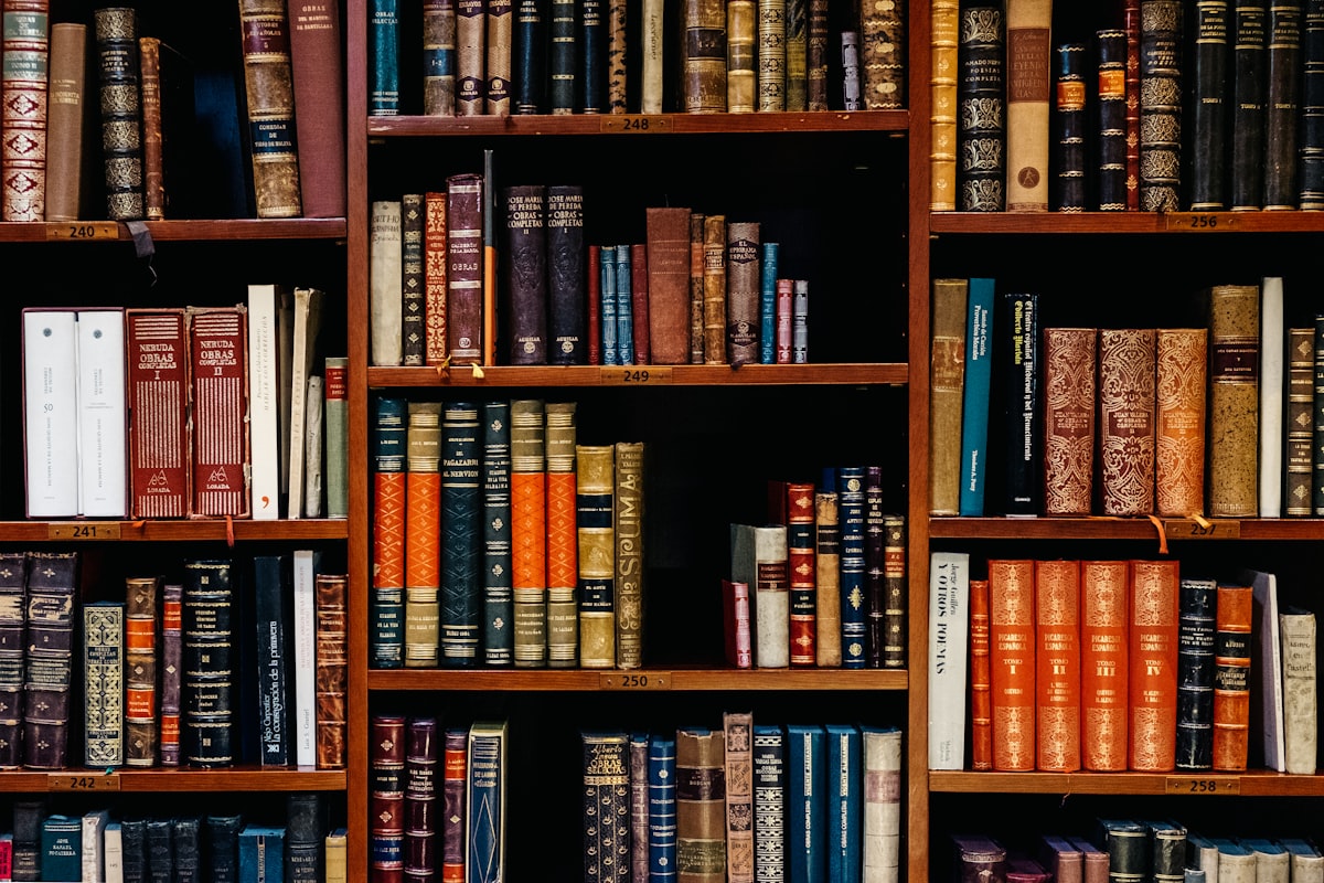 Estante de madeira com lombadas de livros